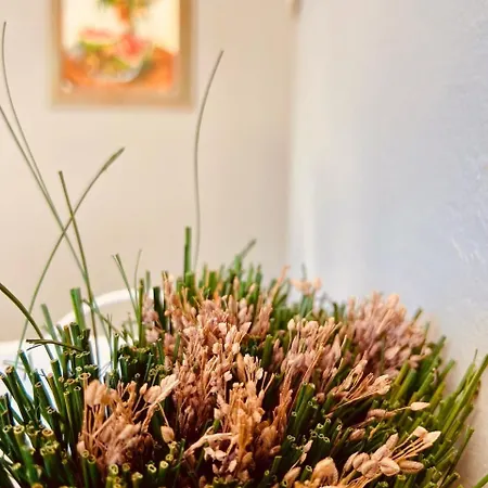 Casa Di Maura * Lefkáda