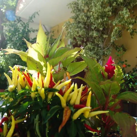 Casa Di Maura Lägenhet *